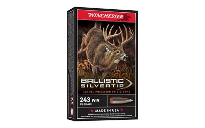 WIN BLSTC TIP 243WIN 95GR 20/200
